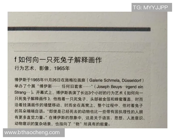 德罗索的传奇旅程与他在现代艺术中的独特影响力探讨