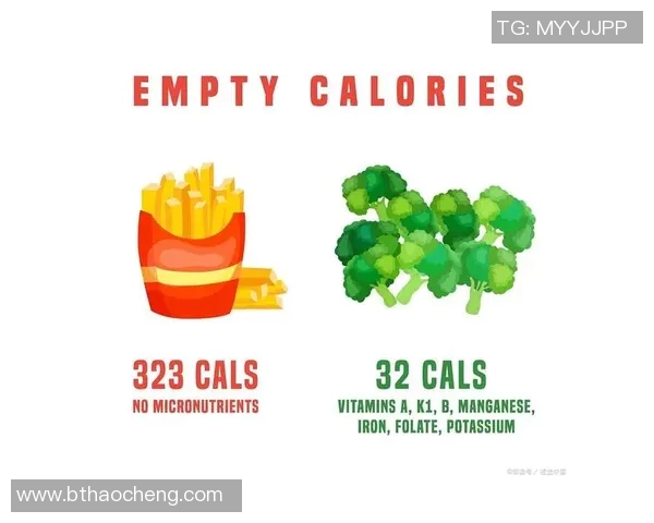 食物能量指南：掌握卡路里，健康生活