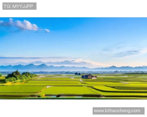 夏松的清晨梦境与自然的和谐交响曲探寻心灵的宁静与美好